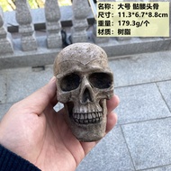 Mô Hình Hộp Sọ Xương Rồng Nhựa Mô Phỏng Người Halloween Trang Trí Nhà Ma Giáo Dục Mỹ Thuật Hóa Trang