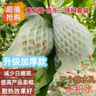 ⭐番石榴套袋网套芭乐防虫网套袋专用一体泡沫包装袋石榴袋水果网袋Guava Garage Garage Garage Garage Garage Garage Garage Garage Garage 