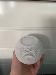 Apple homepod