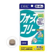 DHC 日本進口蝶翠詩植分解脂肪維生素毛喉素植物提取物 消脂片 20日量(80粒)