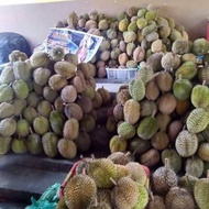 Promo Durian Montong Medan Super Utuh/Bulat