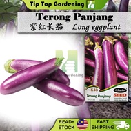K48 LONG EGGPLANT JC GARDEN VEGETABLE SEED BIJI BENNIH TERONG PANJANG