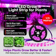 🇸🇬 LED Grow Light Strip for Plant / Plant Light / Full Spectrum USB Grow Light Strip Grow Light for 