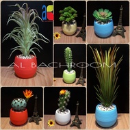 Sukulen kaktus bunga plastik pot bola dekorasi rumah buatan RB6046
