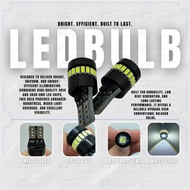 LDPH T10-3014+3030-19LED WHITE PAIR (13010)