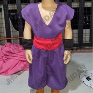 GOHAN Dragon ball anime Inspired Costume - MILESTONES/BIRTHDAY/HALLOWEEN