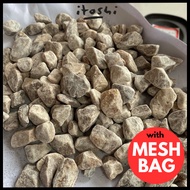 ITOSHI 1kg Maifan Stone Maifanitum 麦饭石 Medical Stone Succulent Soil Free Mesh Bag