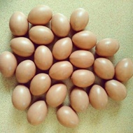 Duck Egg Toy/ Egg Egg Egg/ Toy Chicken Egg Toy Pretend Play