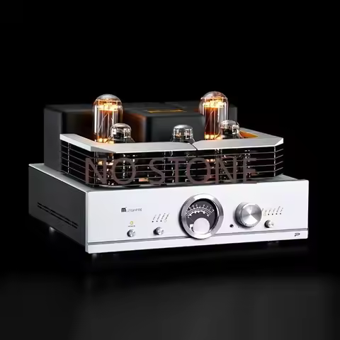 Fever Grade Biliary Amplifier Meishi R100 300B Push 845 805 211 Pure Class A Electronic Tube Amplifi