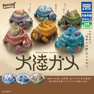 🔥 TAKARA TOMY 世界六大陸陸龜 澳洲大陸烏龜 南極大陸烏龜 南美洲大陸烏龜 歐洲大陸烏龜 非洲大陸烏龜 北美洲大陸烏龜 扭蛋（一套六款）