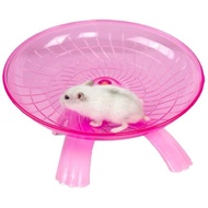 tshirt for woman ☼Hamster spinning saucer wheel dwarf and Syrian hamster -- teddy bear hamster❀
