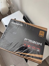 Gigabyte P750GM 750W 80+ Gold Modular Power Supply
