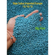 🌱BS KingPearl (imported Europe) repack 1kg - Baja Subur daun sayur 16/16/16