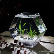 [In stock]Green Creative Glass Fish Tank Personalized Fish Tank Living Room Tropical Fish Tank Desktop Betta Tank HD View Thickened