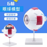 Teaching Instrument Eye Model