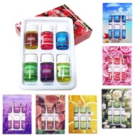 LP-6 New🌳QM 6pcs Boxes Pure Plant Fragrance Oil Essential Oil Ocean Rose Perfume Set Spa Flavoring Oil For Candle Soap M