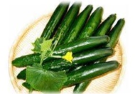 10 pcs Biji benih timun jepun / japanese cucumber 10 seeds