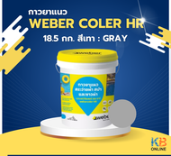 Weber color HR เวเบอร์ คัลเลอร์ เอช อาร์ | กาวยาแนวสระว่ายน้ำ สปา และซาวน่า | ขนาด 3.7 กก. | ขนาด 18