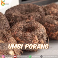 Umbi Porang 1 kg / umbi besar /umbi produksi / bibit Porang