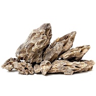 LAVAS 1KG Dragon Stone Golden Yellow Ohko Alveolate Rock Stone Hardscape Aquascape Aquarium