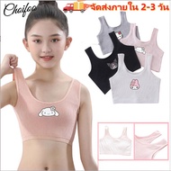 [Ships within 2-3 days] Girls' Underwear for Girls Aged 8 to 14 Years Old Developmental Period Vest 