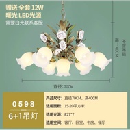 lampu gantung korea kreatif hangat nordic besi bunga dan rumput (vo) - e5-kepala 6+1