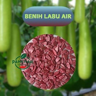 REPACK  WIRA F1 BOTTLE GOURD 696 LECKAT / Benih Labu Air