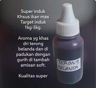 essen oplosan ikan mas induk rame special induk terong belanda