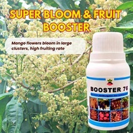 [BEST SELLER] BOOSTER 76 500ML Flower & Fruit Booster – More Flowers Bigger Fruits Healthier Plants