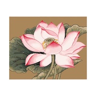 16 x 20 Inch DIY Oil Painting on Canvas Paint by Number Kit Lotus Lily Flower Pattern for Adults Kids Beginner (2)