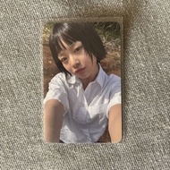 Genuine newjeans hanni whale card