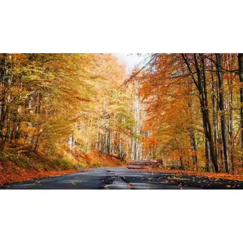 1m Video Audio Converter Adapter Scart To HDMI-compatible 1080P Video Adapter DC 5V Micro USB Cable 