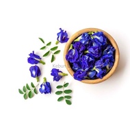 BUNGA TELANG FRESH / FRESH BUTTERFLYPEA FLOWER / HOMEGROWN / FRESH PICKED