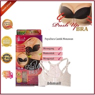 Ready Stock V Asia PUSH-UP BRA ( XS-M & L-XL ) - RM36.00