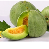 Biji Benih : Melon Manis Jepun (10 biji) / Japan Sweet Melon Seeds