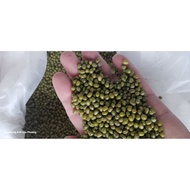 Green beans priced at 200 g/package