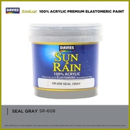 ¤ ⚛ ➴ DAVIES Sun & Rain Color Pods Paint (250ml) Seal Gray