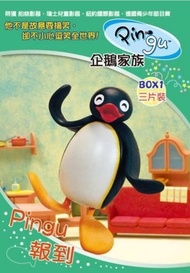 PINGU企鵝家族 BOX 1 Pingu報到 (三片裝) DVD