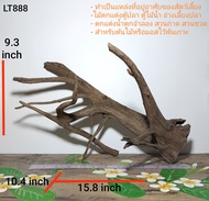ขอนไม้ รากไม้ ตอไม้ (ไม้ทุกชิ้นต้มและขัดแล้ว) สำหรับตกแต่งตู้ปลา ตู้ไม้น้ำ ตกแต่งอ่างเลี้ยงปลา สวนขว