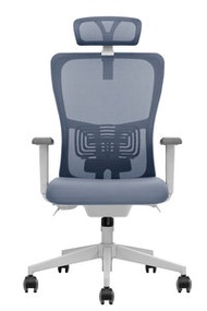 SoErgo - Soliss - OTIS 特別版(淺紫色) 人體工學椅 電腦椅 K5 辦公椅