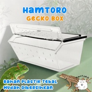 Hamtoro Gecko Box H8 Kandang Besar Untuk Kadal Kura-kura Reptil