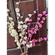 Peach beard event decoration