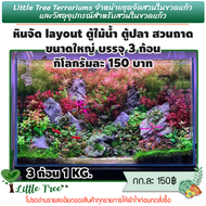 หินจัด layout ตู้ไม้น้ำ ตู้ปลา สวนถาด ขนาดใหญ่ บรรจุ 3 ก้อน กิโลกรัมละ 150 บาท