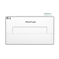 PANTUM BP4200DW Mono laser single function printer