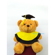 BONEKA WISUDA MURAH / BONEKA BEAR WISUDA / HADIAH ULANG WISUDA/ BONEKA