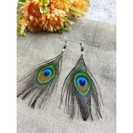 Peacock feather earrings / premium feather earrings