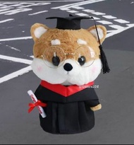 🎓柴犬畢業公仔 狗狗畢業公仔 戴眼鏡狗狗 畢業禮物  幼稚園畢業 大學畢業 capybara 卡皮巴拉 Graduation plush 🧸 現貨 可加蝴蝶結 加購小花束 graduation dol