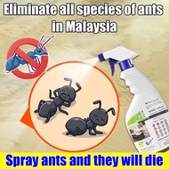 WR Spray semut Racun semut berkesan Ant killer spray Ubat semut Spray semut organik Ubat semut berke