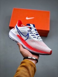 Nike Zoom Pegasus 39