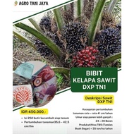 Terlaris Bibit TN 1 Bersertifikat Dan Buku Panduan Menanam